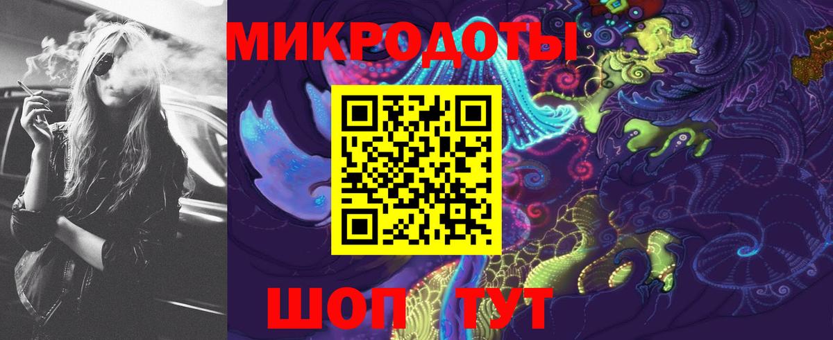 Псилоцибиновые грибы MAGIC MUSHROOMS  Вход с VPN  Горно-Алтайск 