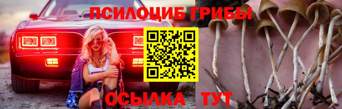 Галлюциногенные грибы GOLDEN TEACHER Горно-Алтайск